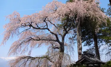 Seirinji Hotel a Komagane