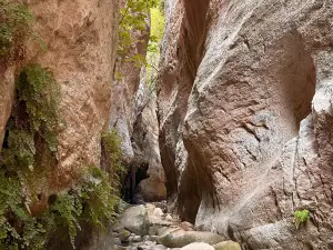 Avakas Gorge