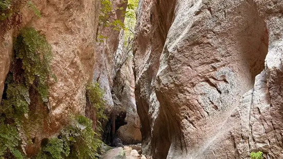 Avakas Gorge