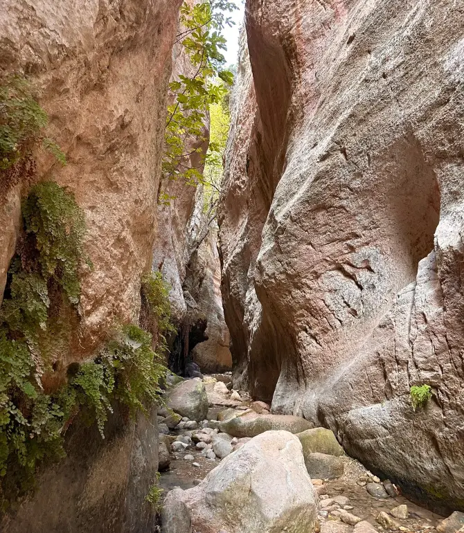 Peyia