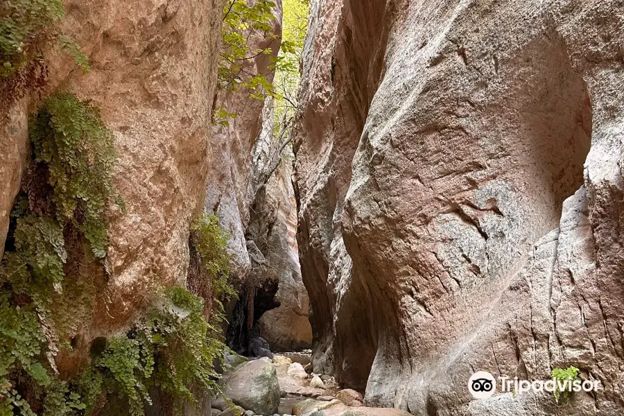 Avakas Gorge Nature Trail