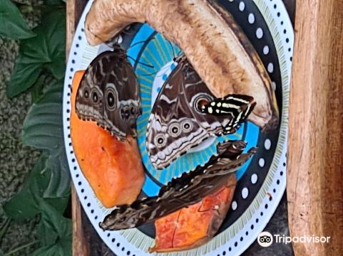 Monteverde