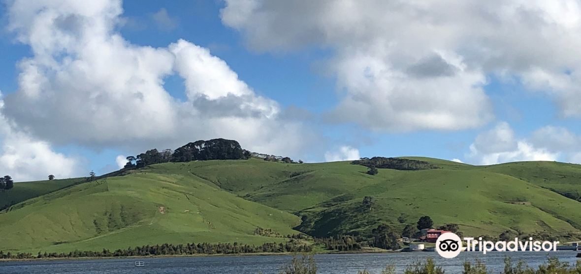 Bay Travel Guide 2024 Things to Do, What To Eat & Tips