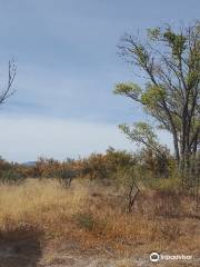 Willcox Playa Wildlife Area