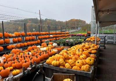 Ferjulians Farm Stand