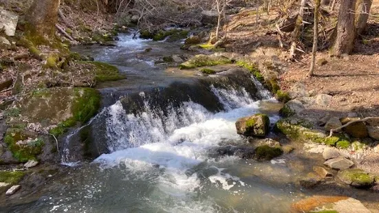 Roaring Run Falls