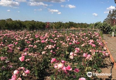 Permanently closed Herbicos Farm