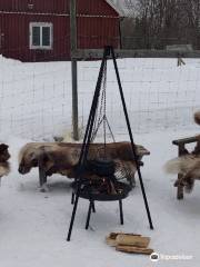 Nordic Husky Farm