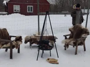 Nordic Husky Farm