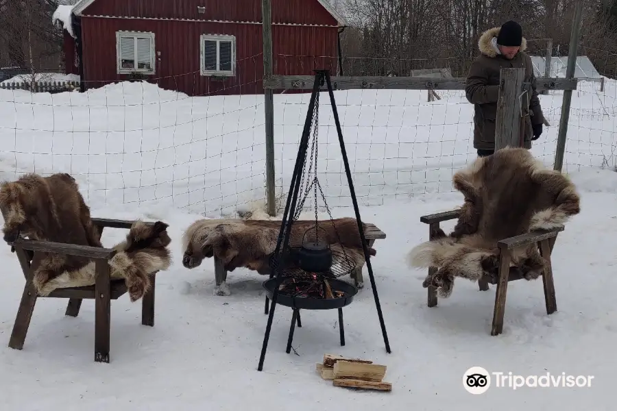 Nordic Husky Farm