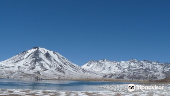 Lagunas Miscanti y Miniques