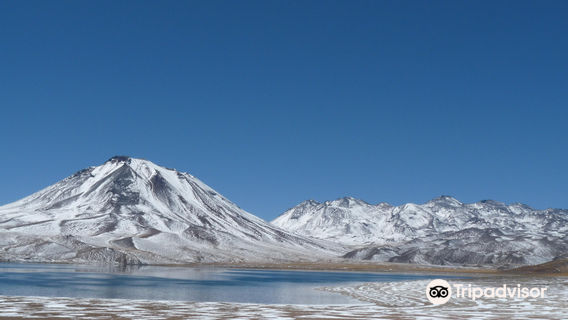 Lagunas Miscanti y Miniques