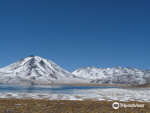Lagunas Miscanti y Miniques