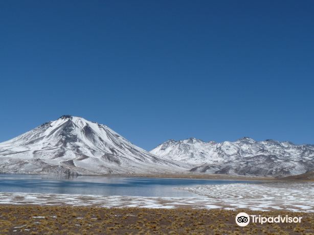 Lagunas Miscanti y Miniques