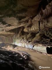 Waipu Caves Scenic Preserve