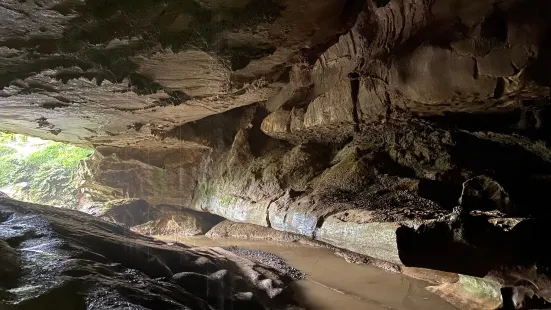 Waipu Caves Scenic Preserve