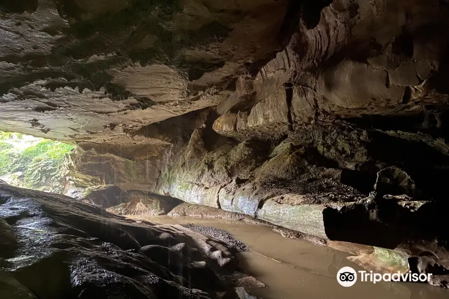 Waipu Cave