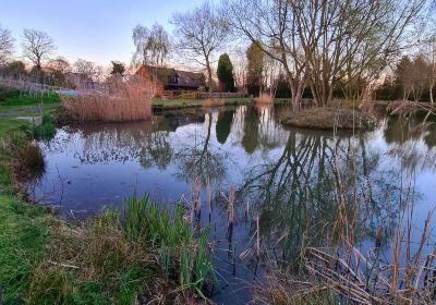 Wassell Grove Fisheries