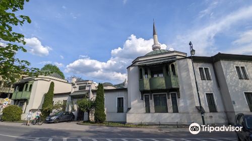 Emperor's Mosque