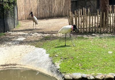 Zoologico de Cali