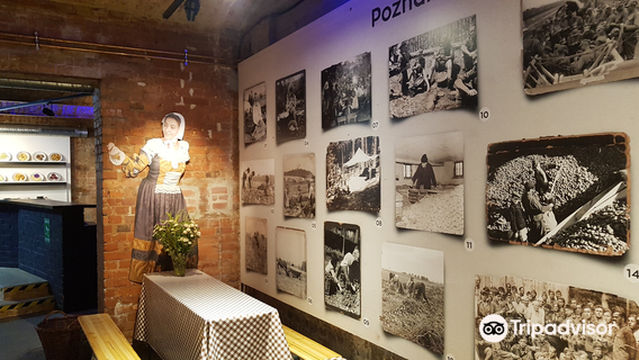 Poznanskie Muzeum Pyry