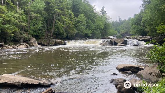Swallow Falls State Park