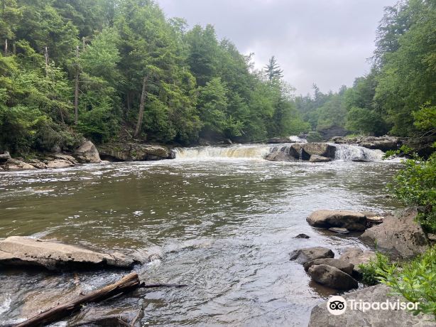 Swallow Falls State Park