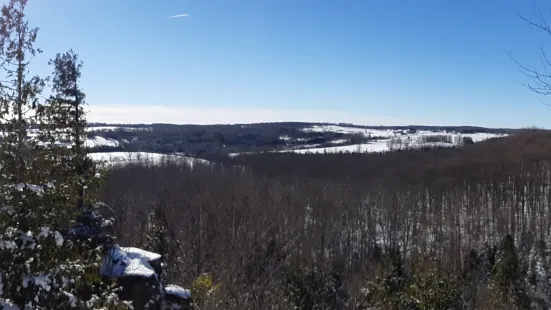 Nottawasaga Bluffs Conservation Area