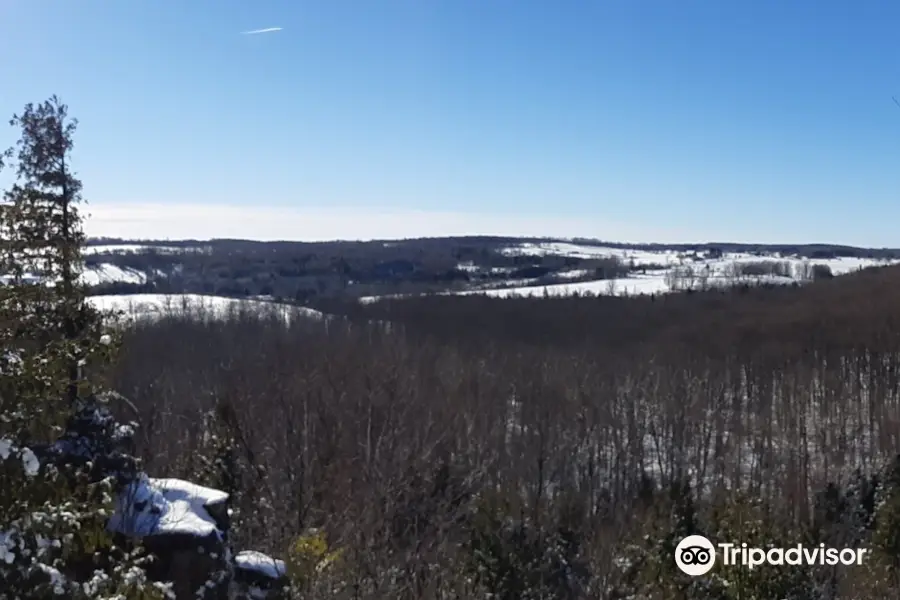 Nottawasaga Bluffs Conservation Area