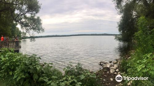 Lake on the Mountain