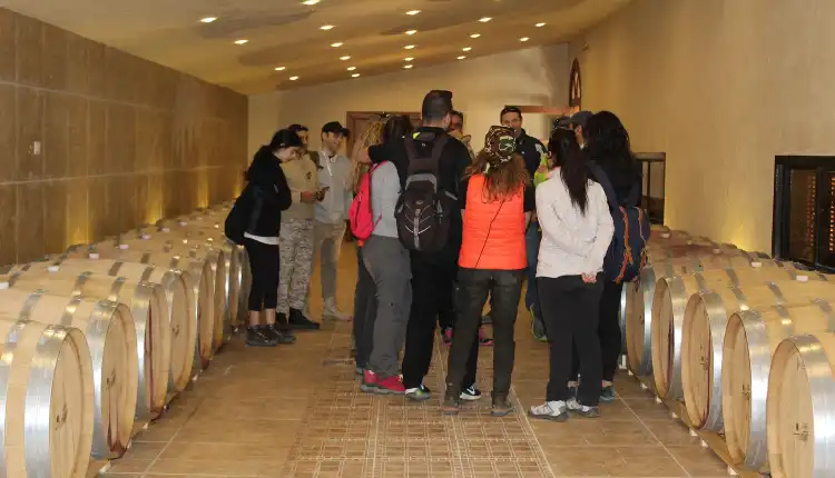 Hotels in Qob Elias