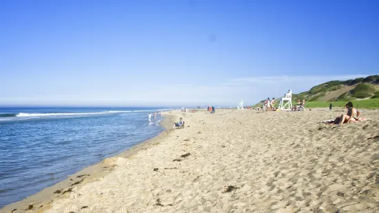 Head of the Meadow Beach