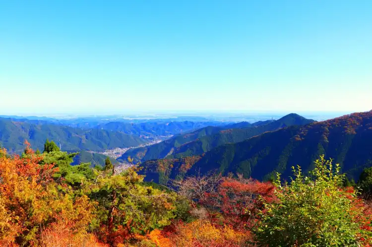 Hotels near Mount Mitake
