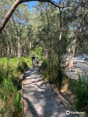 Tilligerry Habitat Tanilba Bay