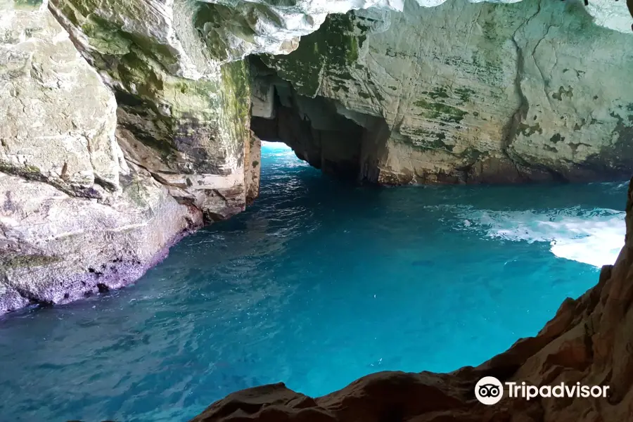 Rosh HaNikra Grottoes