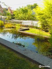 Musée et Jardins Botaniques Cantonaux