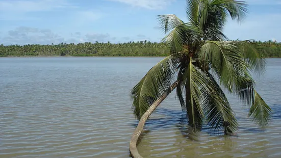 Dharmadam Beach Park