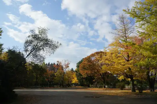 西公園周辺のホテル