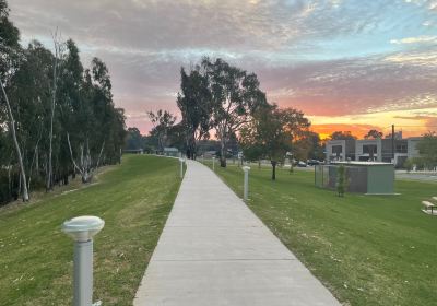 Tocumwal Foreshore