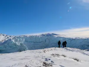 Albatros Arctic Circle