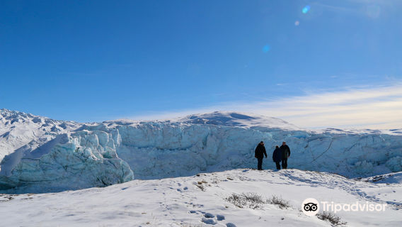 Albatros Arctic Circle