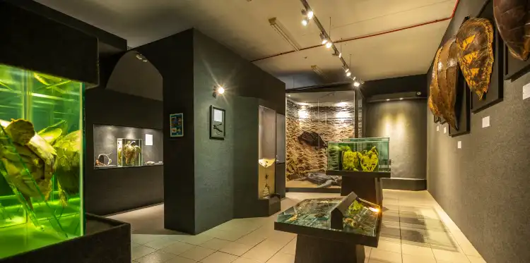 Hotels in Picarras