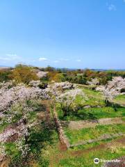 Oka Castle Ruins