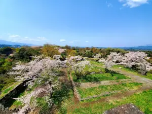 岡城跡