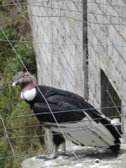 Zoologico de San Martin