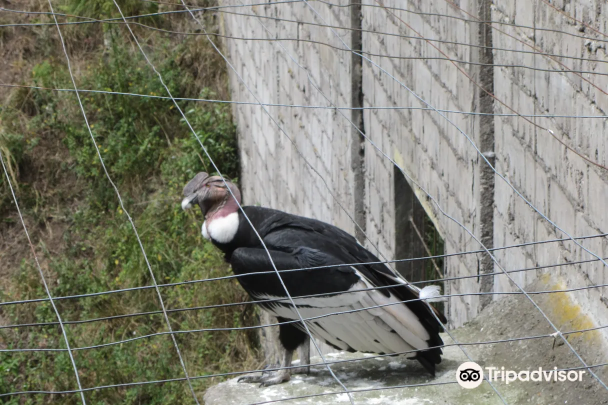 3_Zoologico de San Martin