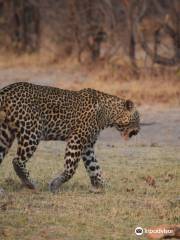 Moremi Wildlife Reserve