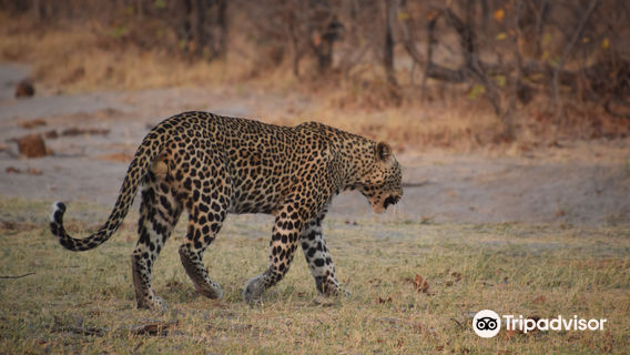 Moremi Wildlife Reserve