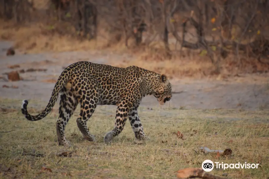 Moremi Wildlife Reserve