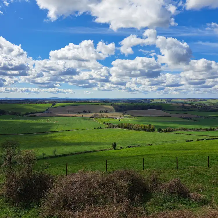 Hotels in Corhampton and Meonstoke